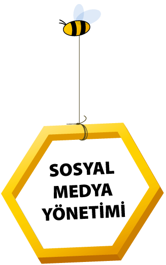 Sosyal Medya Yönetimi