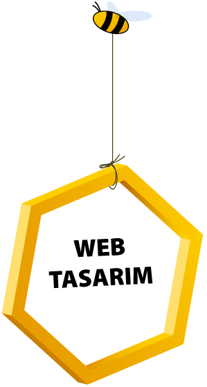 Web Tasarım